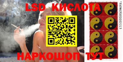 прущие крисы Малгобек