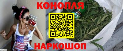 прущие крисы Малгобек
