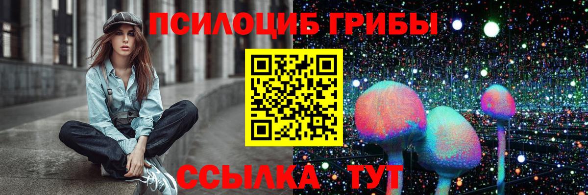 магазин    Псилоцибиновые грибы прущие грибы  Вход с VPN  Сызрань 
